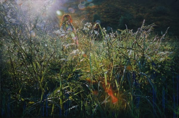 Jiang Chuan 姜川, Where the Heart of Quietness Lies願沉寂的心靈長留於此, 2014