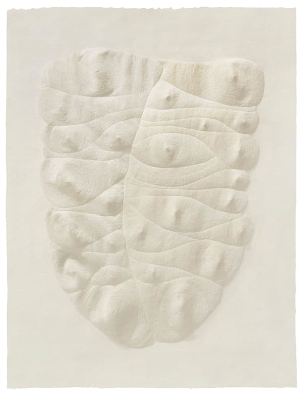 Fu Xiaotong 付小桐, 181, 005 Pinpricks 181,005 孔, 2020