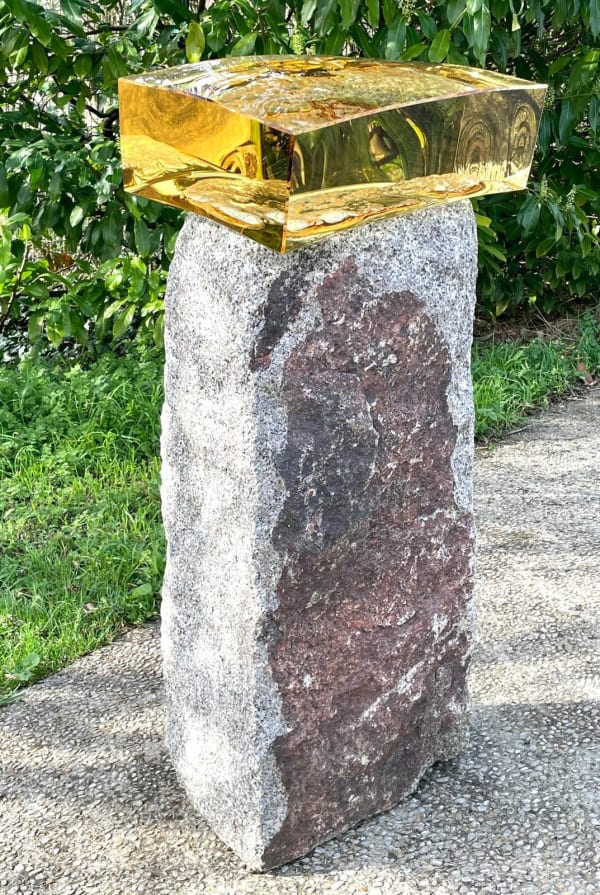 Capteur de lumière, 2024