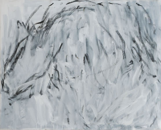 El sueño del jabali, 2013