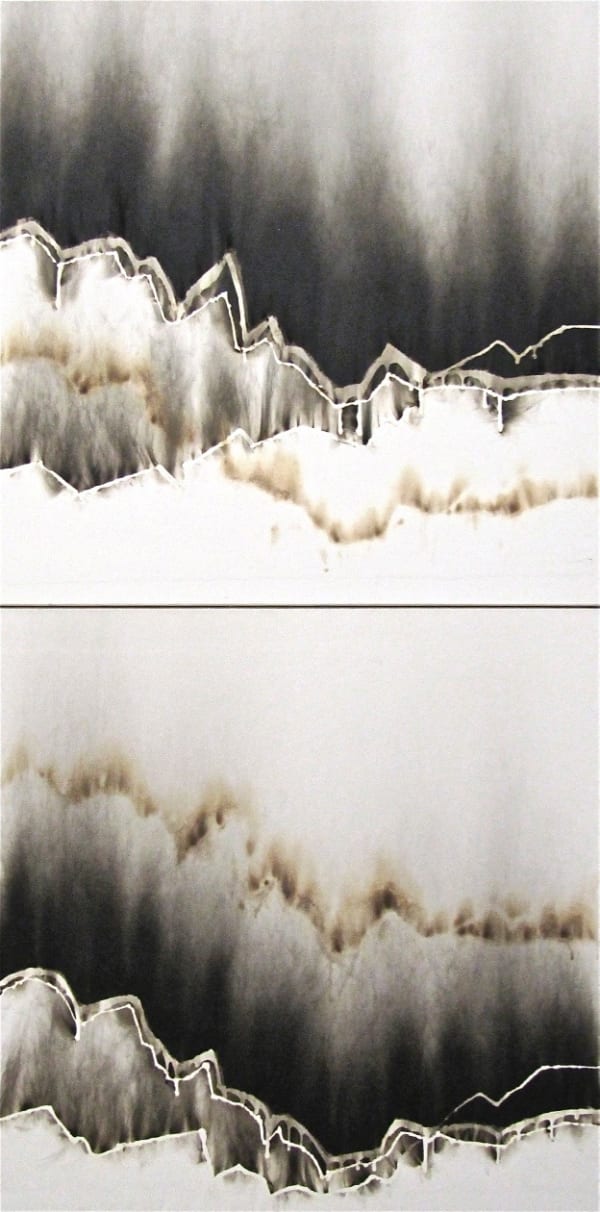 CHRISTIAN JACCARD, Indices comparés, diptyque , 2000