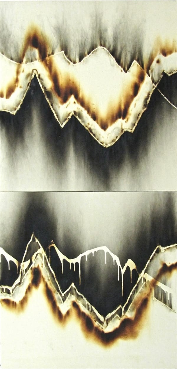 CHRISTIAN JACCARD, Indices comparés, diptyque , 2000