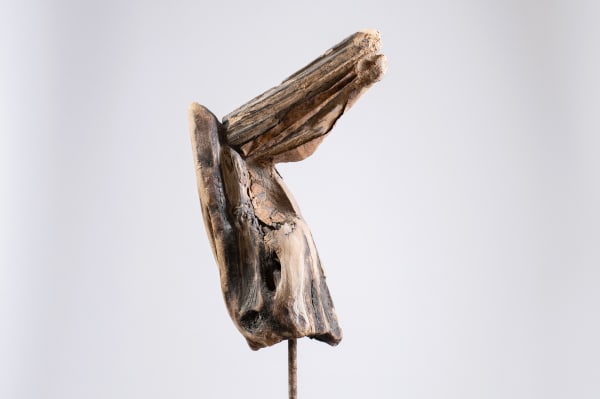 Horse II, 2024