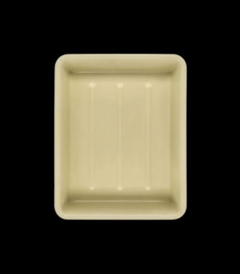 Cuvette de développement n°14, Paris, 2020