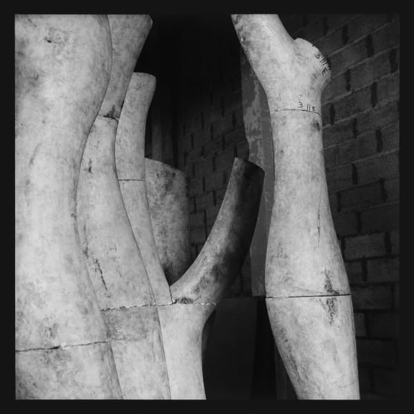 PHILIPPE ANTHONIOZ, Photographie Truinas
