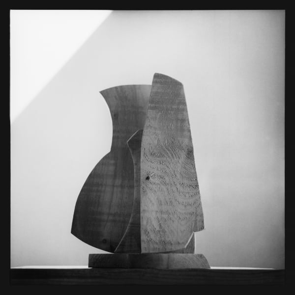 PHILIPPE ANTHONIOZ, Photographie, Truinas, 1998