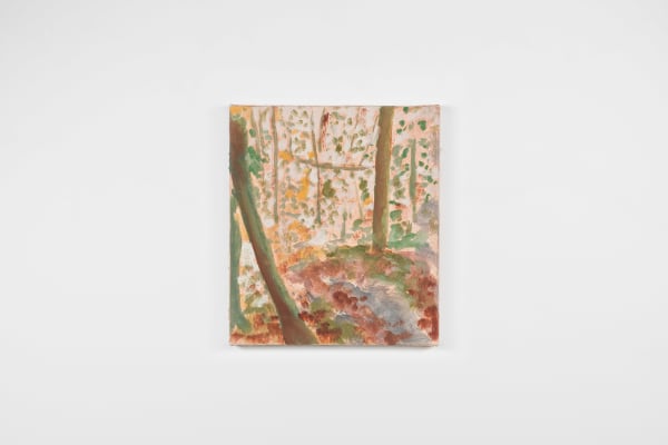 LUCAS TALBOTIER, Balade en forêt, 2024