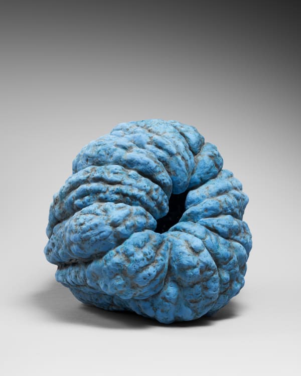 Akoda pumpkin, 2024