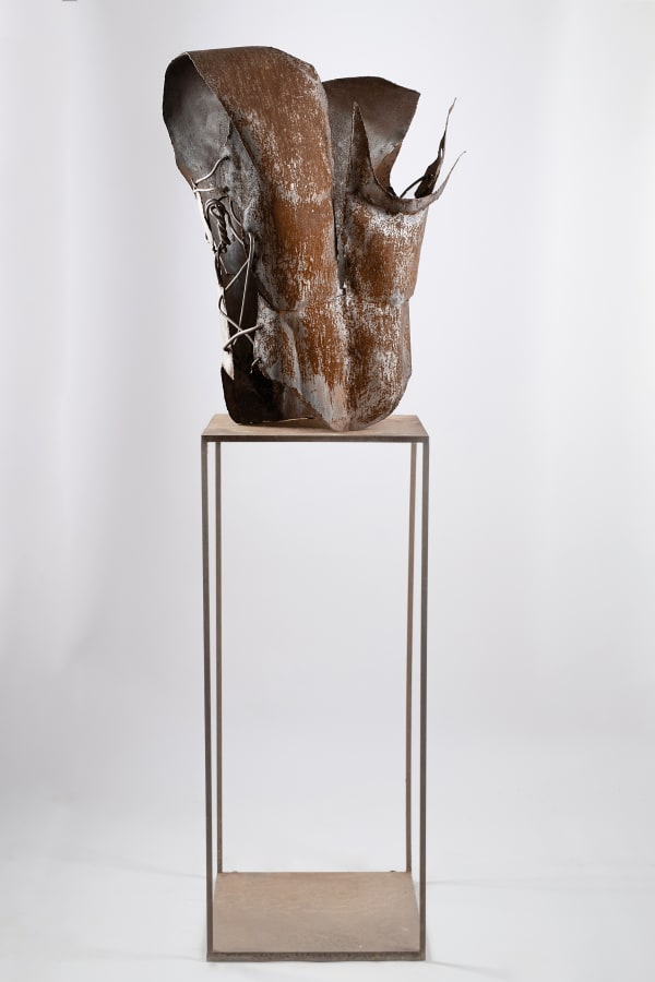 Armour VII (c), 2006