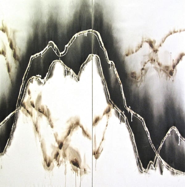 Pics de croissance, diptyque, 2001