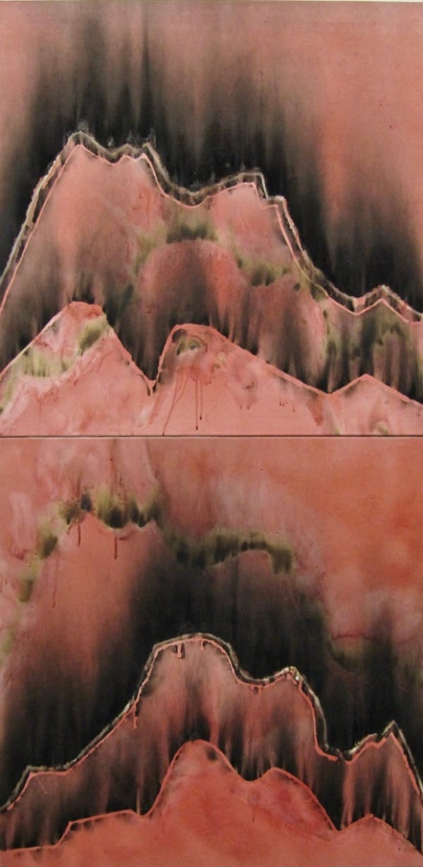 CHRISTIAN JACCARD, Indices comparés, diptyque, 2000