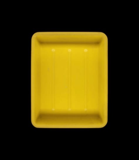 Cuvette de développement n°15, Paris, 2020