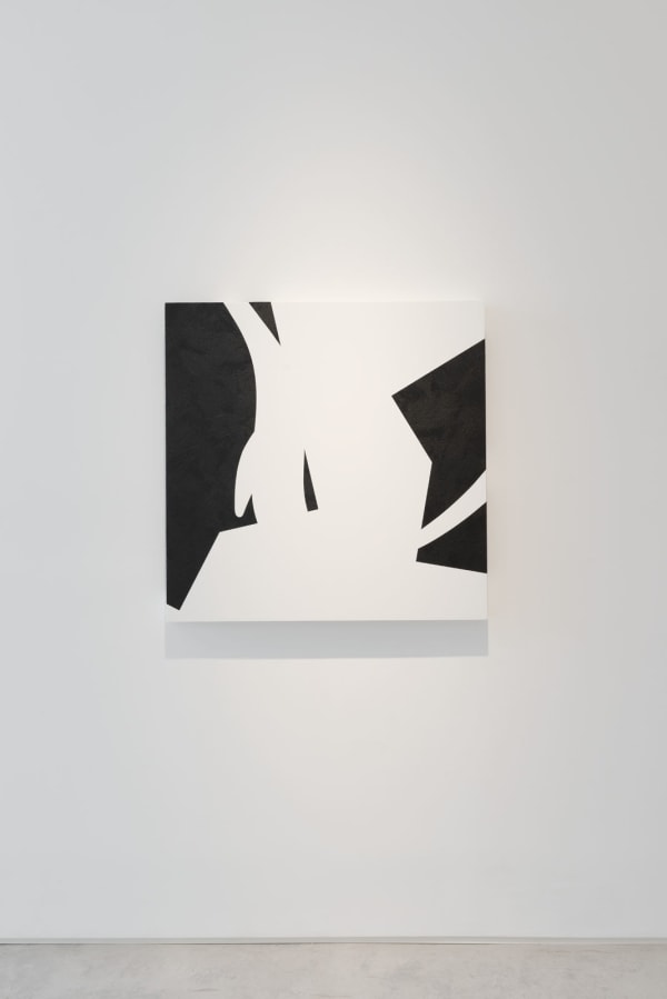 BENOIT LEMERCIER, HÉNOSIS, 2024
