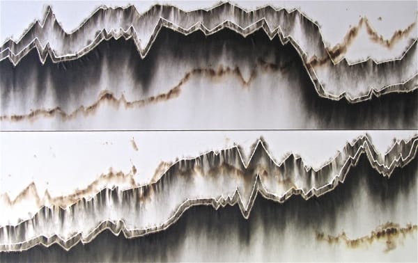 CHRISTIAN JACCARD, Differentiel de croissance, diptyque, 2000