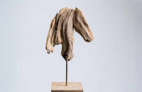 Horse , 2015