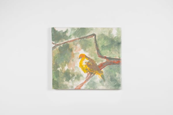 LUCAS TALBOTIER, L'oiseau mauricien, 2024