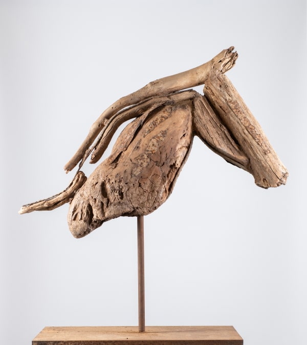 ALEXANDRA ATHANASSIADES, Horse AA - II, 2022