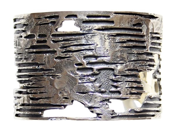 Nicolas SCHNEIDER, Zone d'inondation, 2015