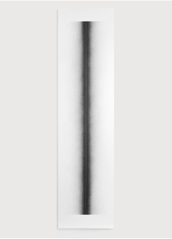 Mathieu Bonardet, Isometría II , 2022
