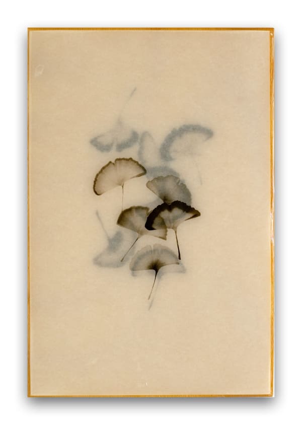 Christine Brunella, Poem (R2608), 2026