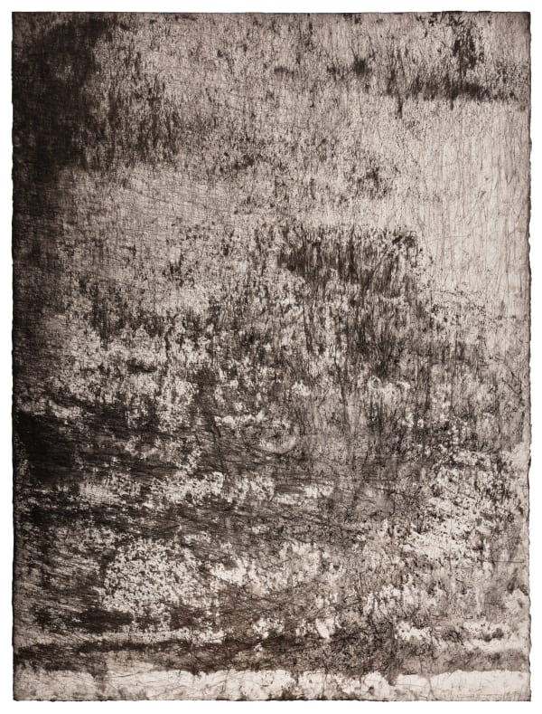 Erin Wiersma, Transect 2021 312 FB (Windshift I), 2021