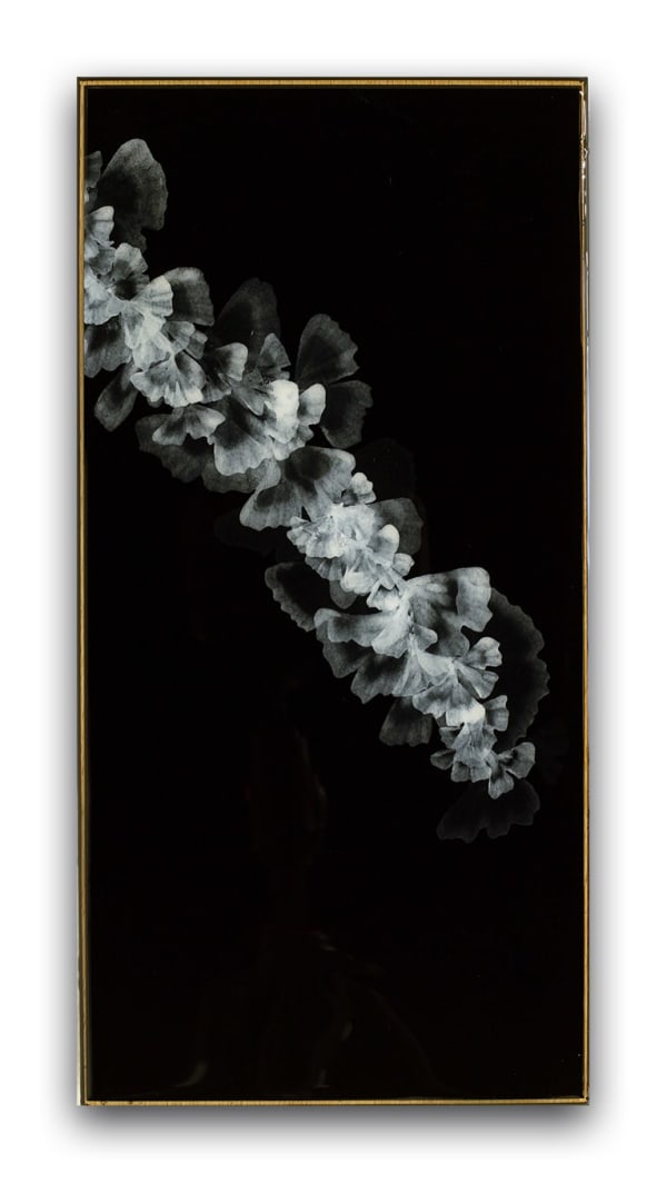 Christine Brunella, Poem (R2601), 2026