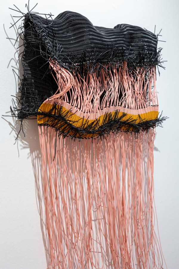 Susanne Thiemann, Amobea, 2021