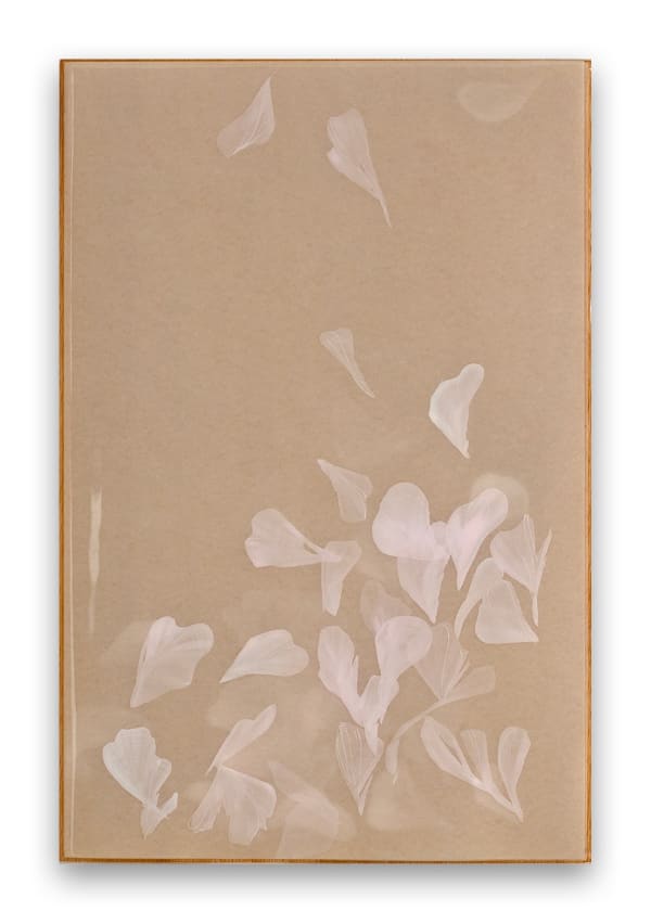 Christine Brunella, Poem R2425, 2024