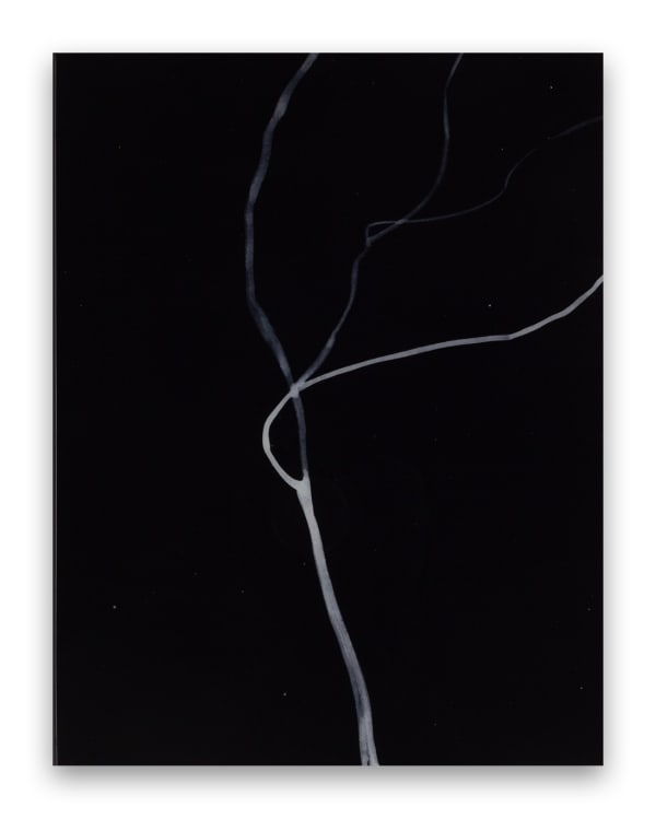 Christine Brunella, Poem R2413, 2024