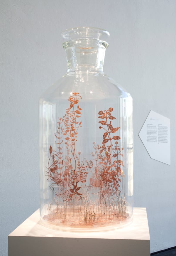 Nandita Kumar, Unwanted ecology, 2018