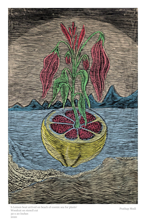 Prathap Modi, A lemon boat arrived on beach of cosmic sea for plants, 2020