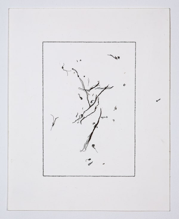 Ratna Gupta , what the wind does