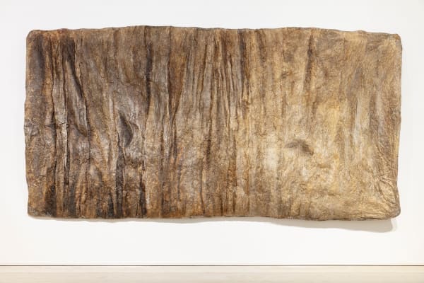 Kaarina Kaikkonen, Olen metsä jota etsin / I Am the Forest I Am Looking for, 2022