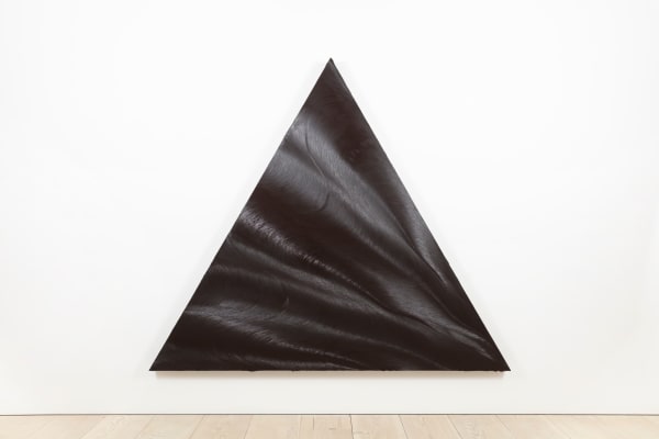 Jason Martin, Brasileiro, 2007