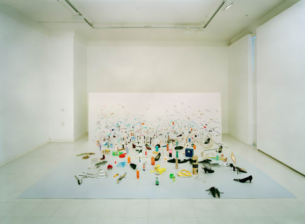 Kaarina Kaikkonen, Niin kuin muuttolintusen tie / Like a Bird of Passage, 2003