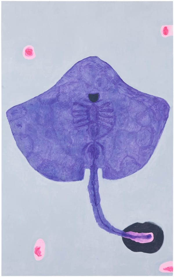 Hannu Väisänen, Laulurausku / Singing Ray, 2012