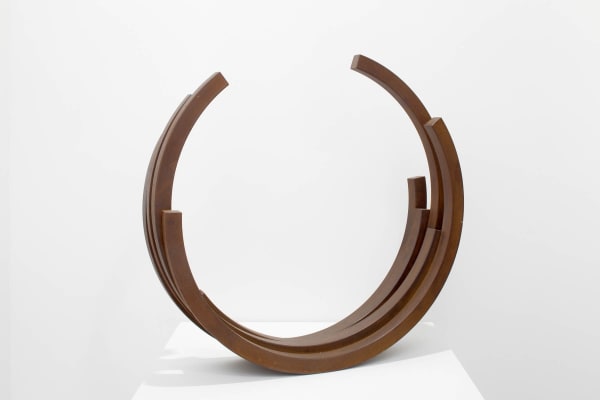 Bernar Venet, 218.5 Arc x 5, 2005