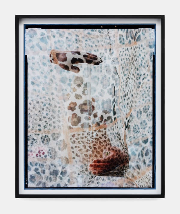 Ketuta Alexi-Meskhishvili, patterns of an unstable frame, 2019