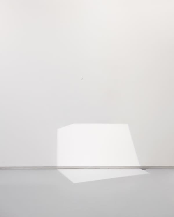 Marina Gadonneix, sans titre (Augure)#2, 2021