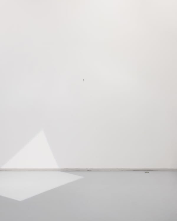 Marina Gadonneix, sans titre (Augure)#1, 2021