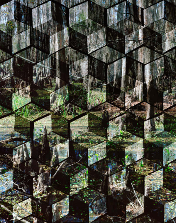 Hannah WHITAKER Jean Lafitte 2 Photographie 128,3 x 101,6 cm 50.5 x 40 inches