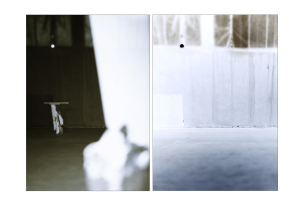 La Parabole des Aveugles, Diptyque #20 G, 2012