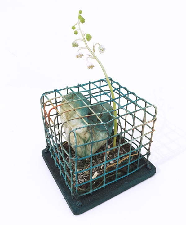 Tetsumi Kudo, Birdcage with a heart, 1975
