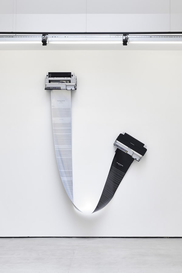 Isabelle Le Minh, Vie des formes de vie, forme de vies des formes , 2019