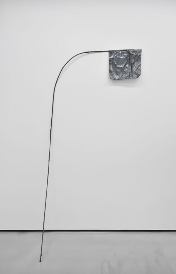 Flag Series (2), 2014