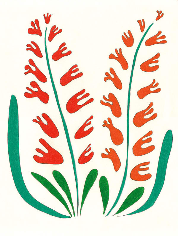 Unglee, Digitales oranges, 26 janvier 2015