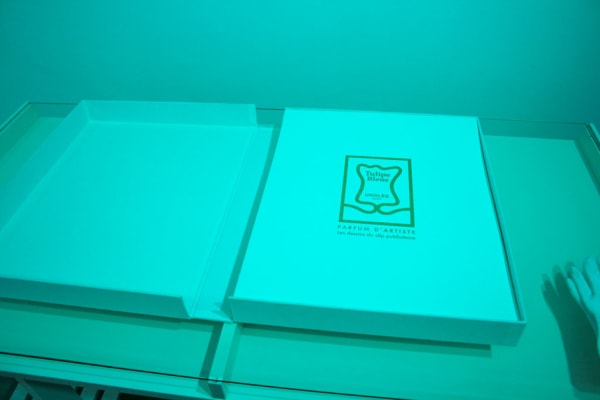 UNGLEE Le coffret des dessins du clip Tulipe Bleue Dessin