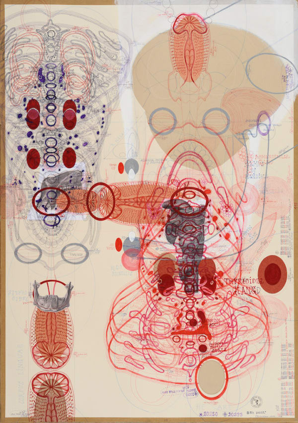 Lubos Plny, Sans titre (20293), 2017