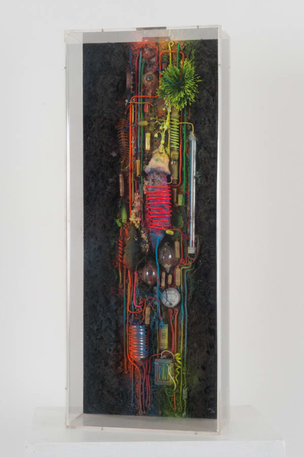 Tetsumi Kudo, Pollution - cultivation - nouvelle écologie, 1974