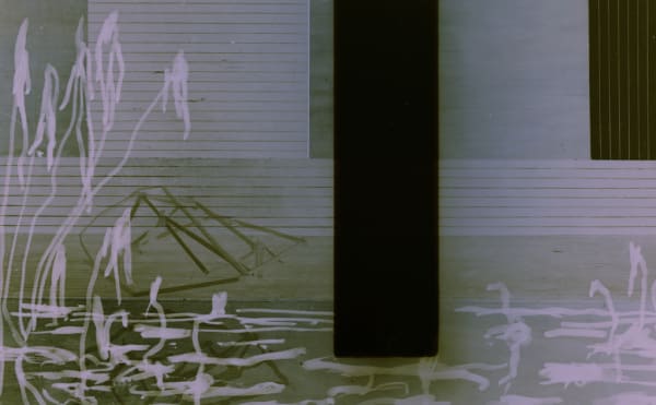 Narcisse #18, 2008